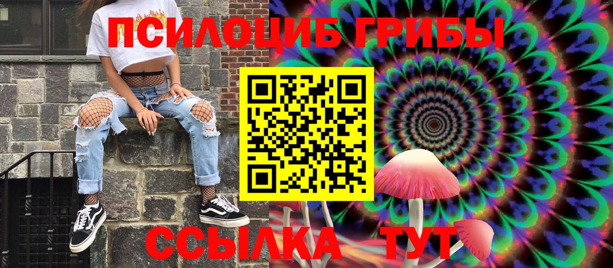 Псилоцибиновые грибы Psilocybe Усинск