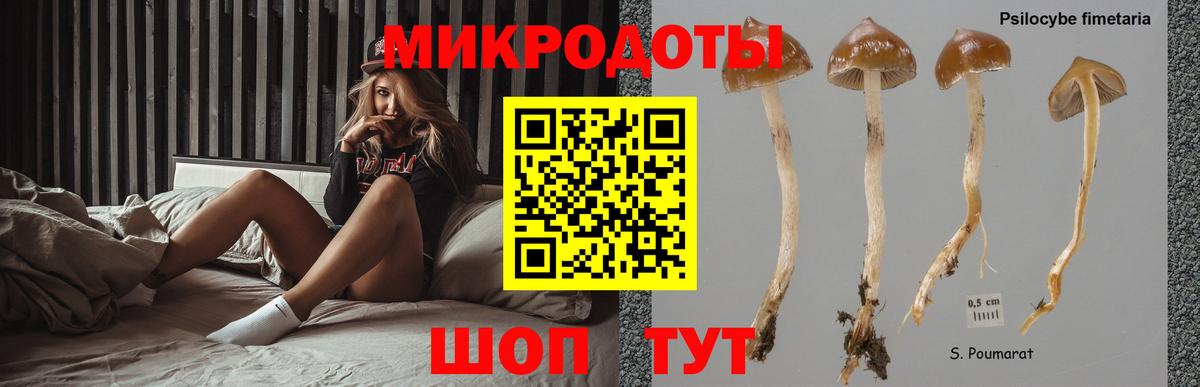 Галлюциногенные грибы Cubensis  Вход с VPN  Усинск  Галлюциногенные грибы мицелий 